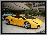 Żółty, Lamborghini Gallardo