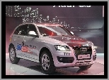 Marathon, Audi Q5, Mileage